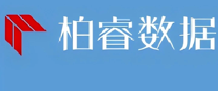 柏睿数据标志